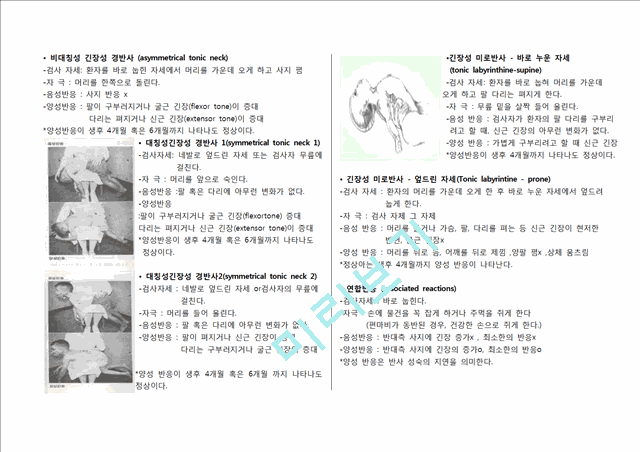 [의학] 반사와 반응[Reflex & Reaction] 정리 자료.hwp